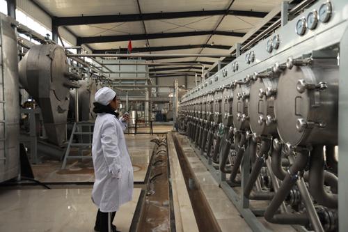 马铃薯深加工淀粉生产项目在坦途镇正式投产